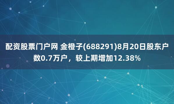 配资股票门户网 金橙子(688291)8月20日股东户数0.7万户，较上期增加12.38%